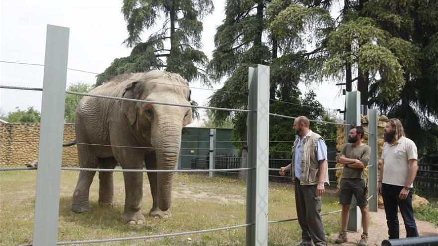 El zoológico cumplirá 50 años en el 2018 sin dejar de ser un parque público