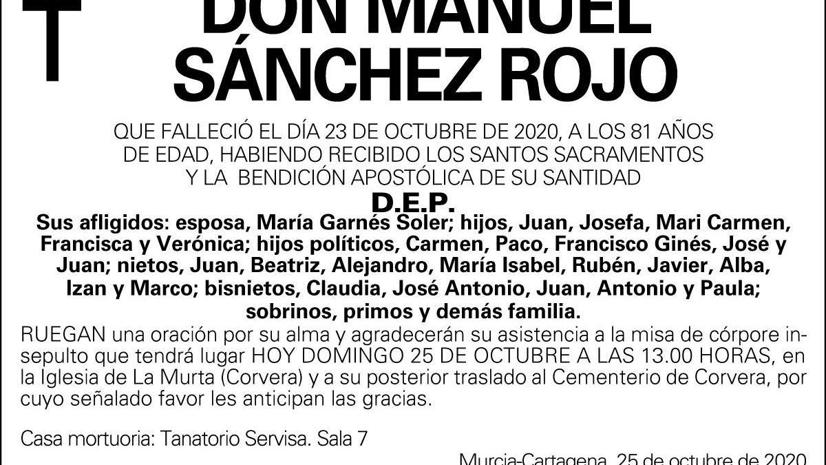 D. Manuel Sánchez Rojo