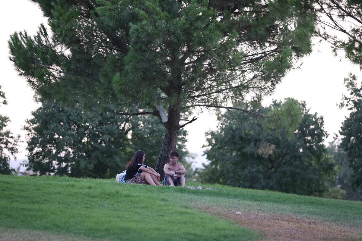 Tardes al fresco en Córdoba, el plan estrella del verano para disfrutar en familia