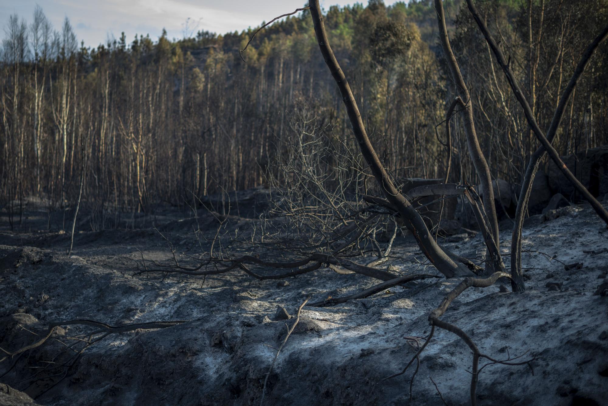 Incendio en Verín