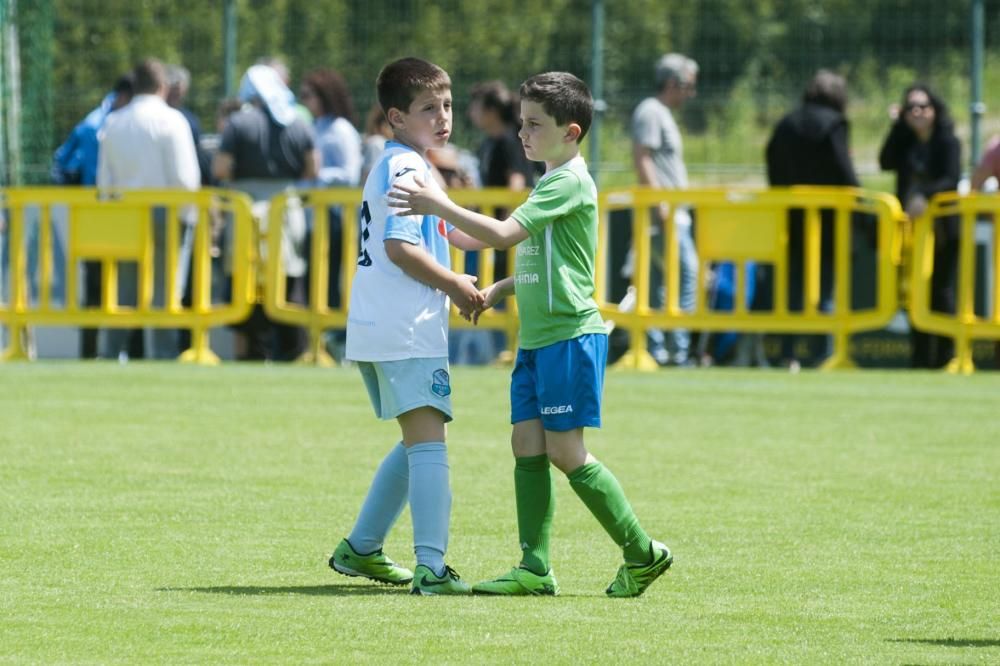 3.000 pequeños futbolistas en Abegondo