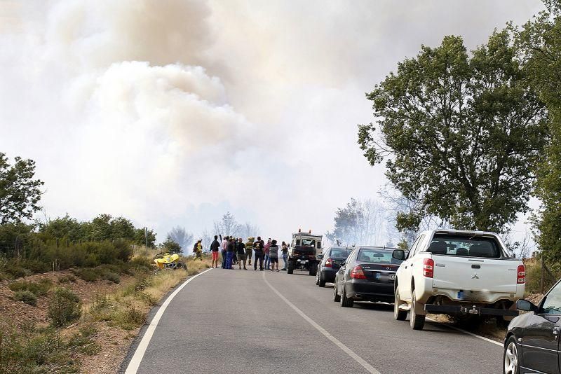 Imágenes del incendio forestal de Grisuela.