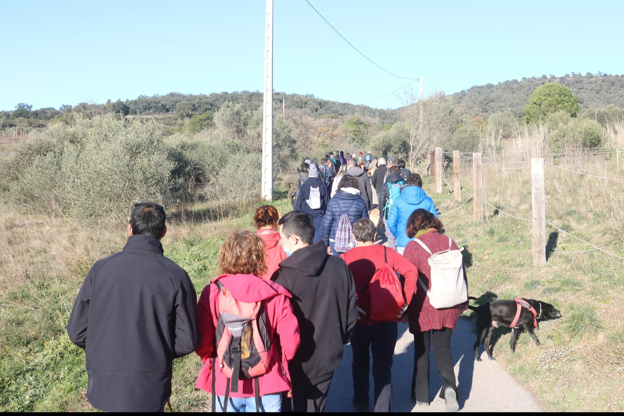 Els veïns d'Espolla que han participat en la caminada pujant al turó amb la vara que simula una pala de l'aerogenerador