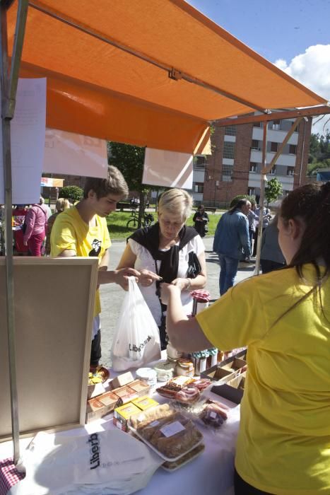 Mercado de cooperativas en El Entrego