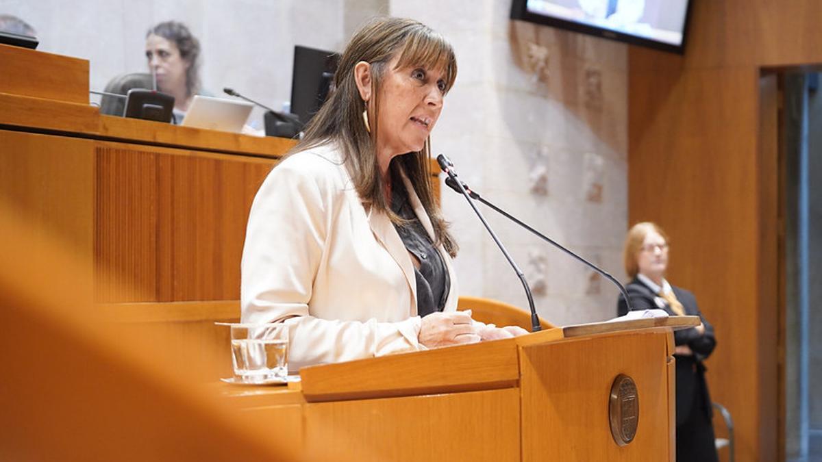La consejera de Sanidad, Sira Repollés, durante su intervención en el pleno.