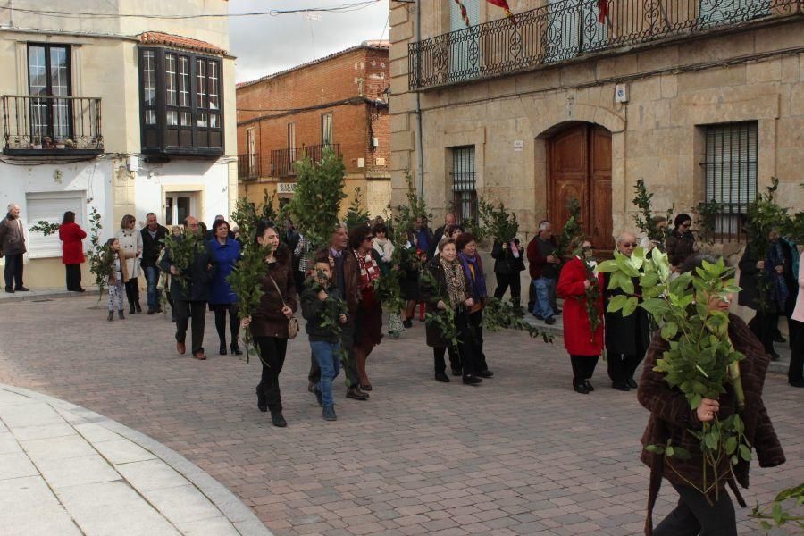 Procesión de Santa María en Fuentesaúco