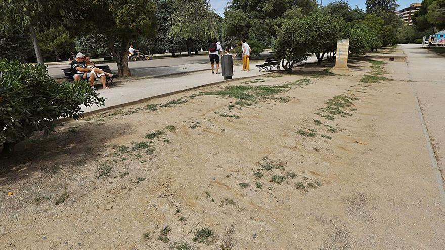 Zona sin hierba junto al paseo central, el de San Sebastián. | ÁNGEL DE CASTRO