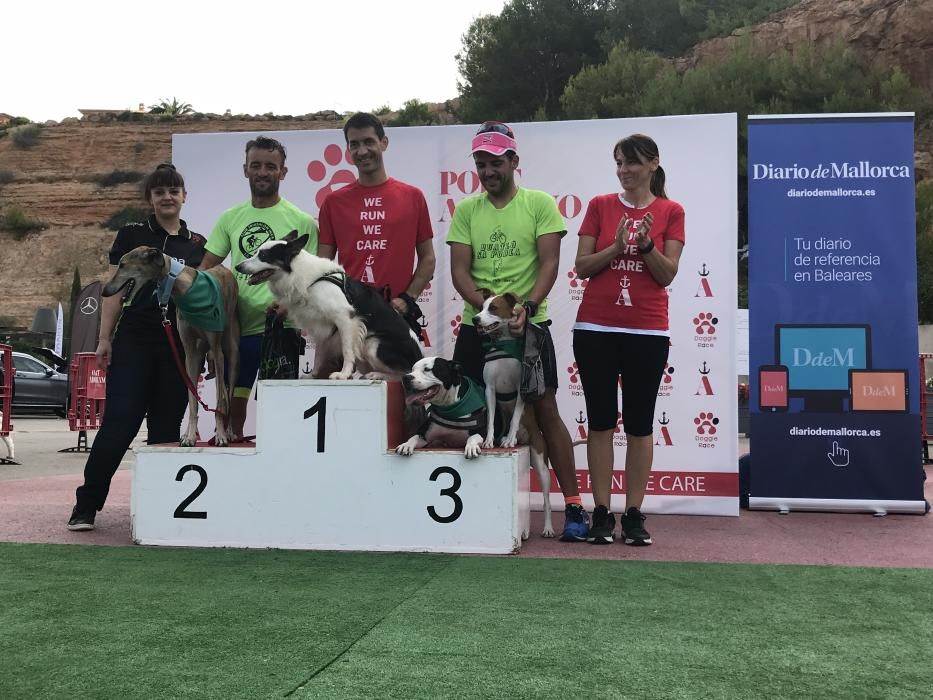 Das Hunderennen "Doggie Race" in Port Adriano