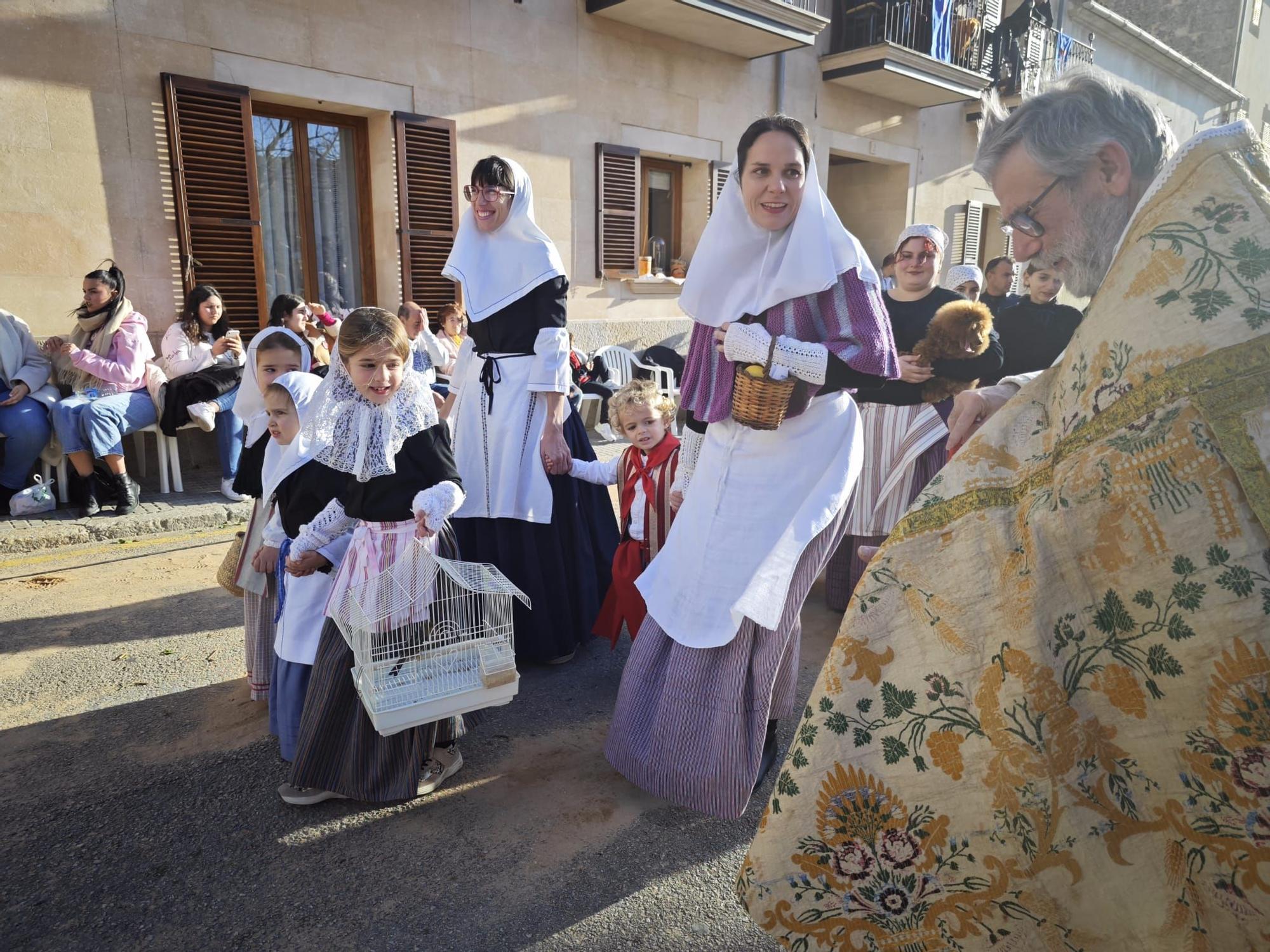 Sant Antoni | Búscate en las 'Beneïdes' de Muro