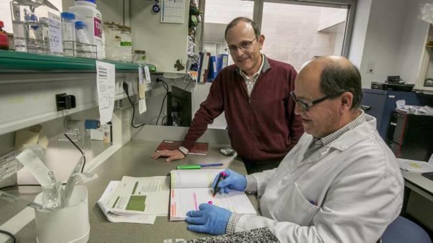 El director del Instituto de Biotecnología de la UMH, Antonio Ferrer-Montiel, junto a uno de los investigadores de este centro.