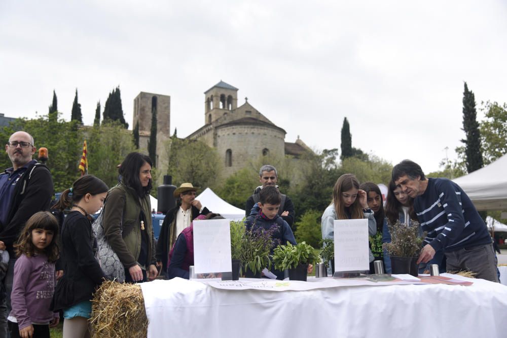 Festa de la Gastronomia Alicia't a Sant Fruitós de Bages