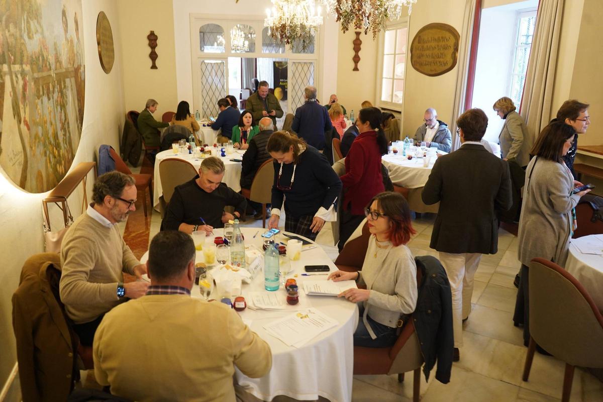 Panel de cata de los premios Mezquita de aceite en la edición de 2026.