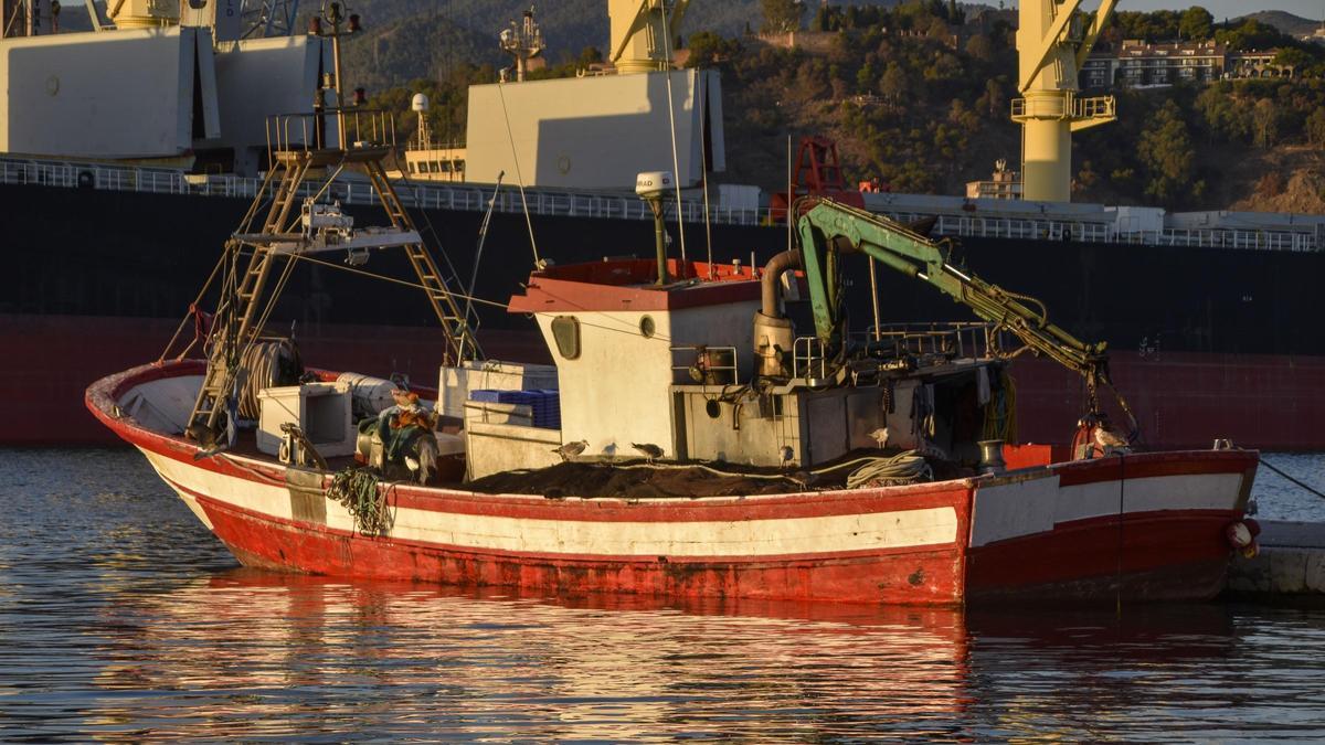 Imagen de un barco pesquero en el puerto de Málaga.