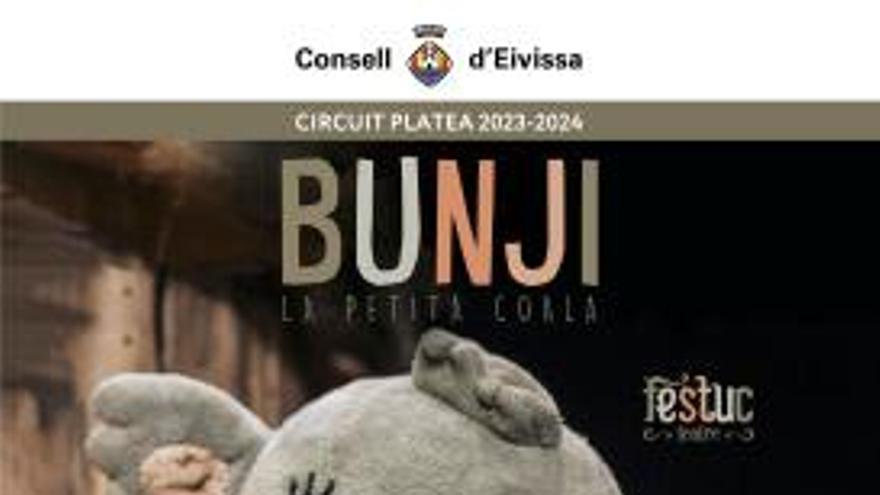 Bunji, la petita coala