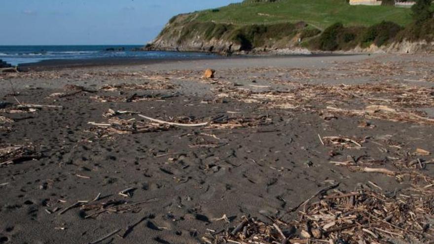 Estado actual de la playa de El Puerto.