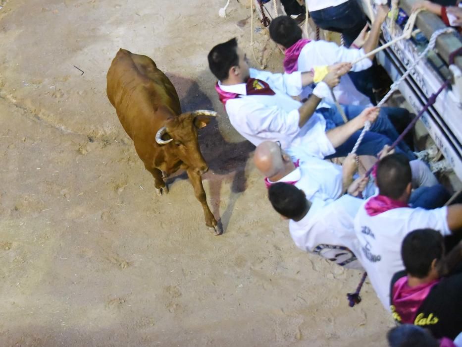 Corre de bou de Cardona