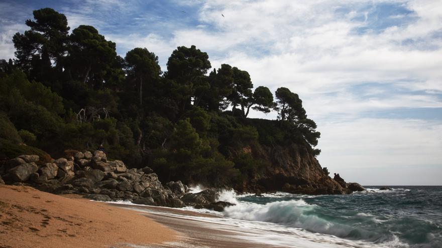 Passejant per la costa de Blanes a Lloret