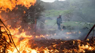 ¿Por qué ahora hay más incendios y son más peligrosos?