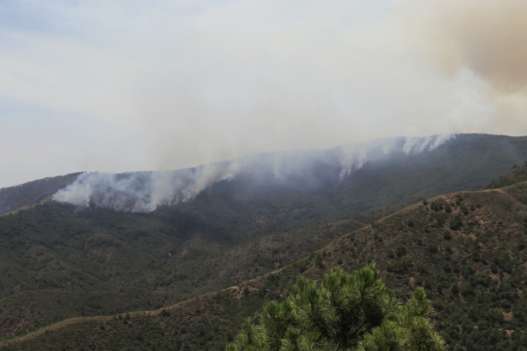 Un millar de efectivos trabajan para controlar el fuego de Sierra Bermeja