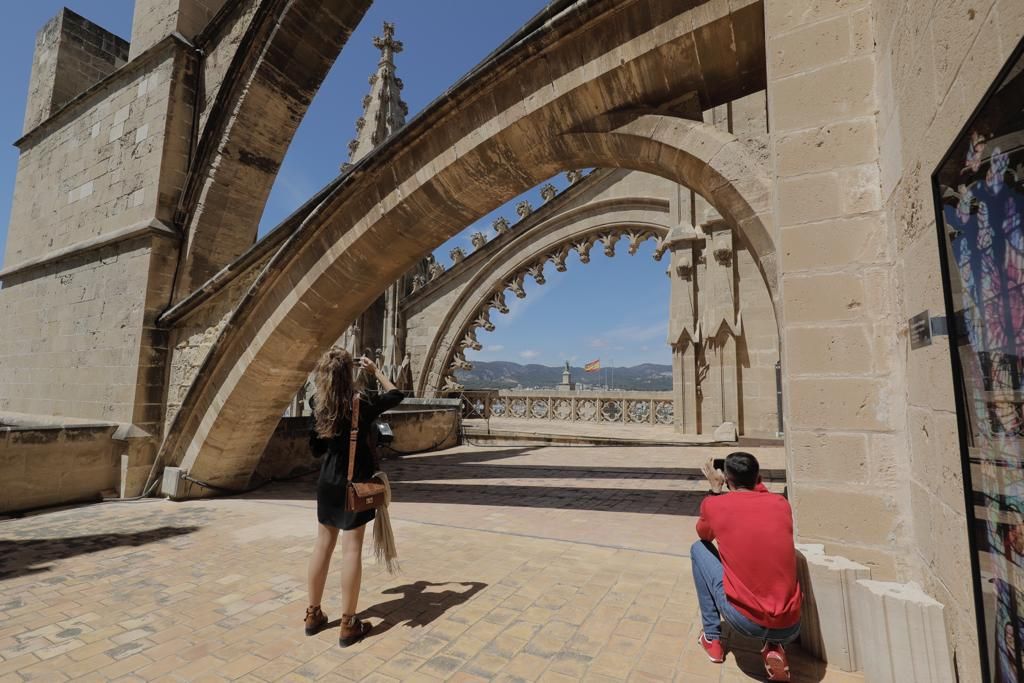 Vuelven las visitas a las terrazas de la Catedral de Mallorca