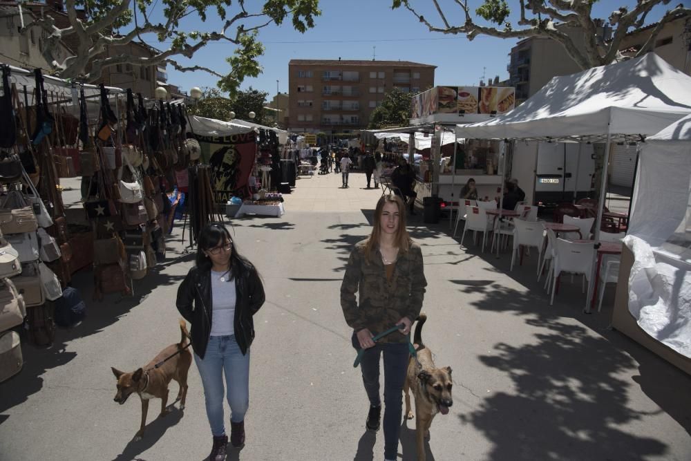 Fira de Primavera de Navàs 2019