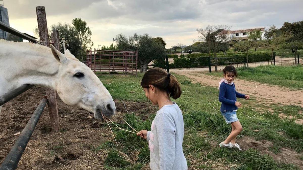 Cuidado de los caballeos en La Carraca.