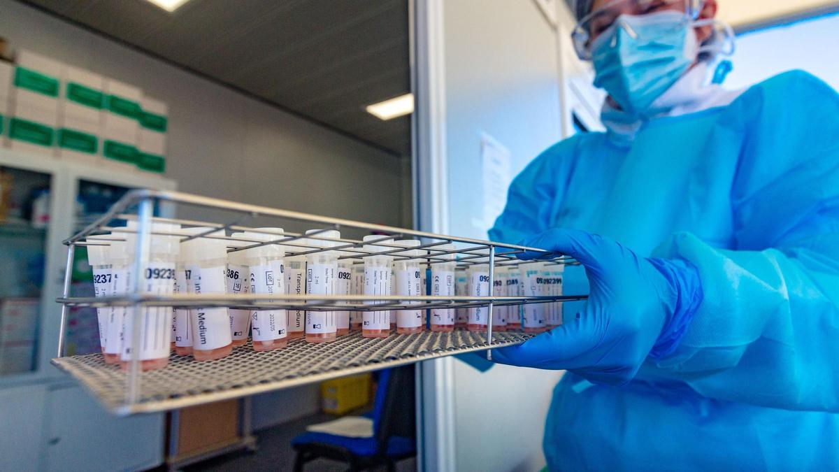 Fotografía de archivo de test PCR en La Vila Joiosa.