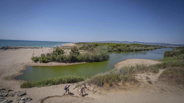 Vista des de la torre mirador de Cal Francès de la desembocadura de la riera de Sant Climent i la platja de Viladecans, al delta del Llobregat.