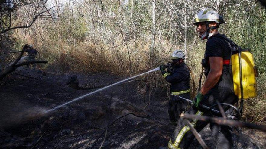 Los bomberos extinguen un &quot;aparatoso incendio&quot; de pastos cerca de La Gorgoja