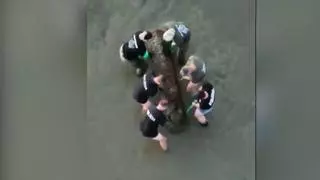 Hallan en el Danubio una mina de 700 kilos de la Segunda Guerra Mundial