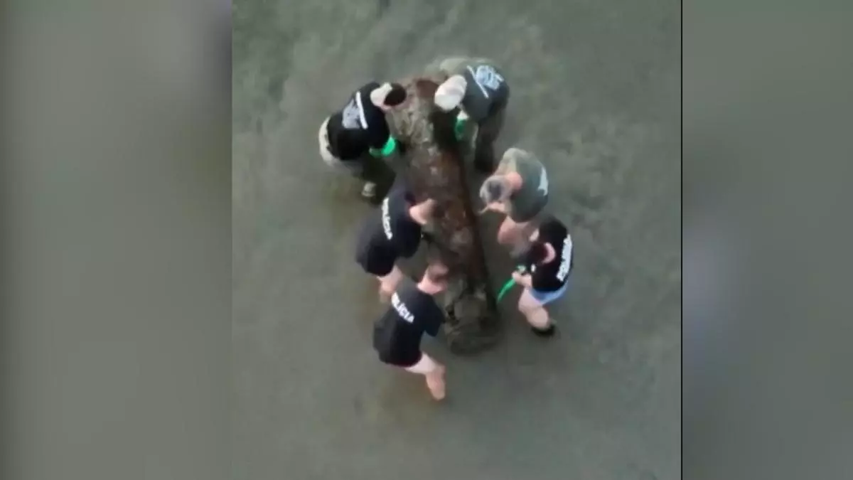 Hallan en el Danubio una mina de 700 kilos de la Segunda Guerra Mundial