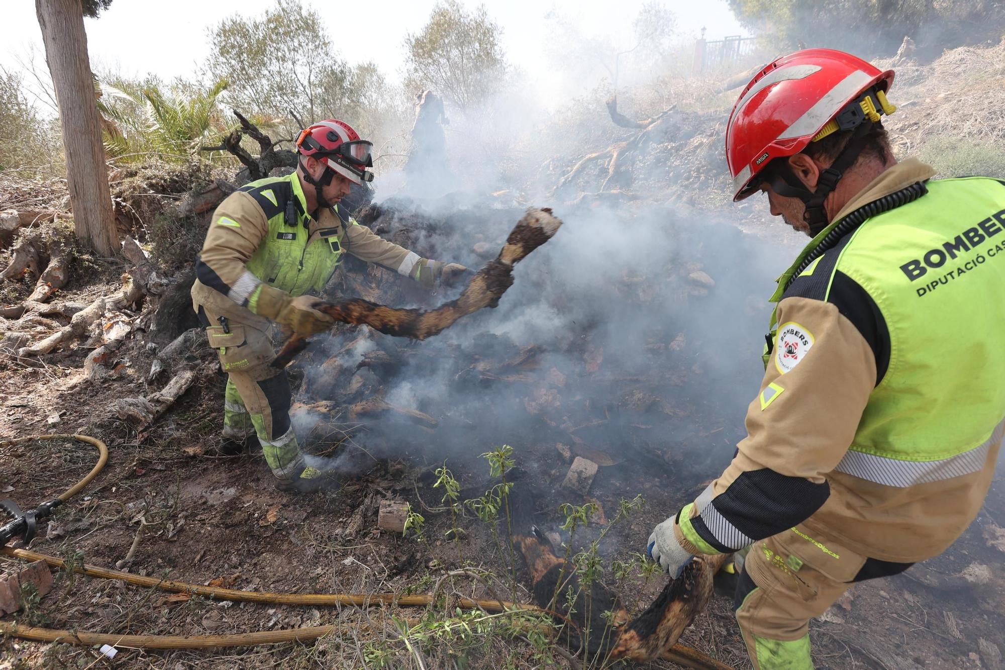 Galería de fotos del incendio forestal en el río Millars entre Vila-real y Almassora