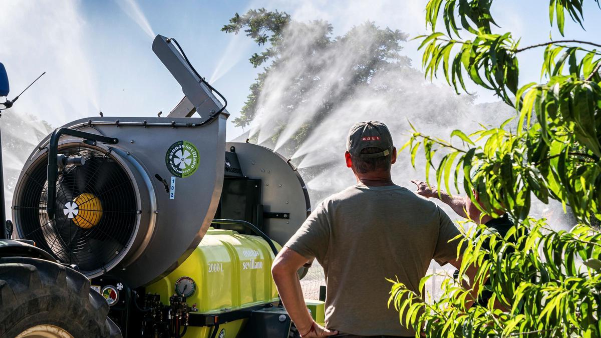 Proyecto de emprendimiento del ceiA3, una de las aceleradoras de empresas en Córdoba.