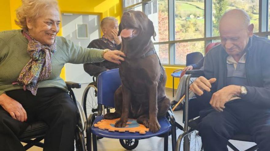 Ejemplo de prestigio y actualidad