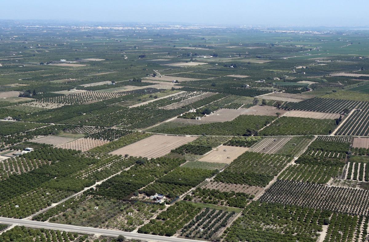 Hi ha que protegir els cultius.