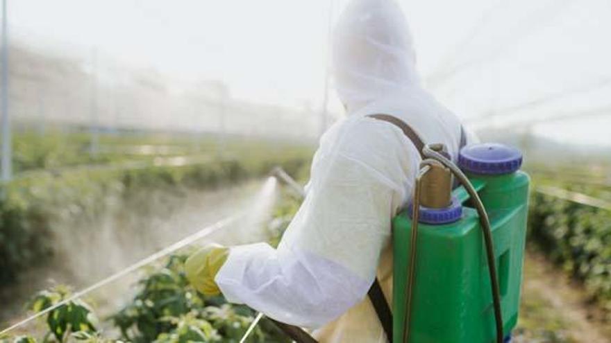 Francia suspende un pesticida sospechoso de intoxicaciones.