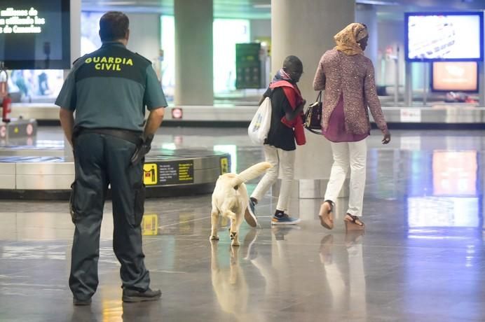 REPORTAJE UNIDAD CANINA AEROPUETO DE GRAN CANARIA