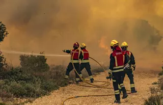 Les flames amenacen el parc natural Font Roja, a Alacant