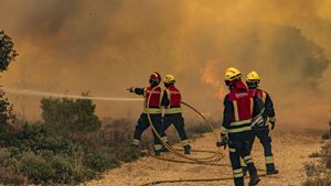 Les flames amenacen el parc natural Font Roja, a Alacant