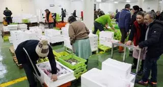 Galicia dejó sin ejecutar 95 millones en fondos europeos de pesca en 2023