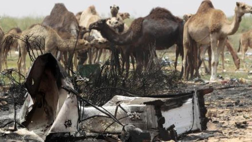 Varios camellos, ante un vehículo militar destrozado por los bombardeos de la OTAN.
