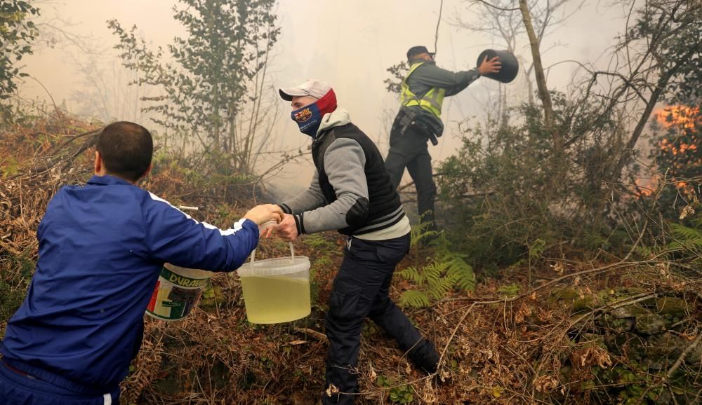 Incendio en Rianxo |El fuego arrasa más de 800 ha