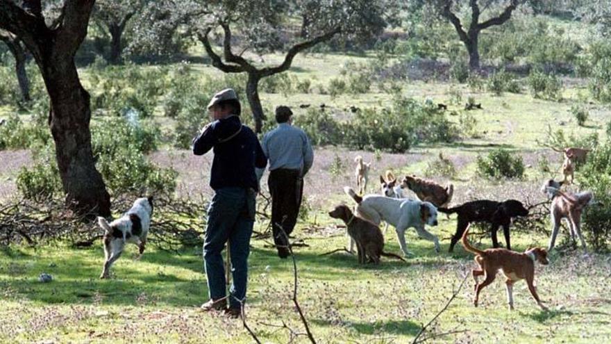 Los cazadores extremeños piden a los políticos fomentar la investigación sobre la caza