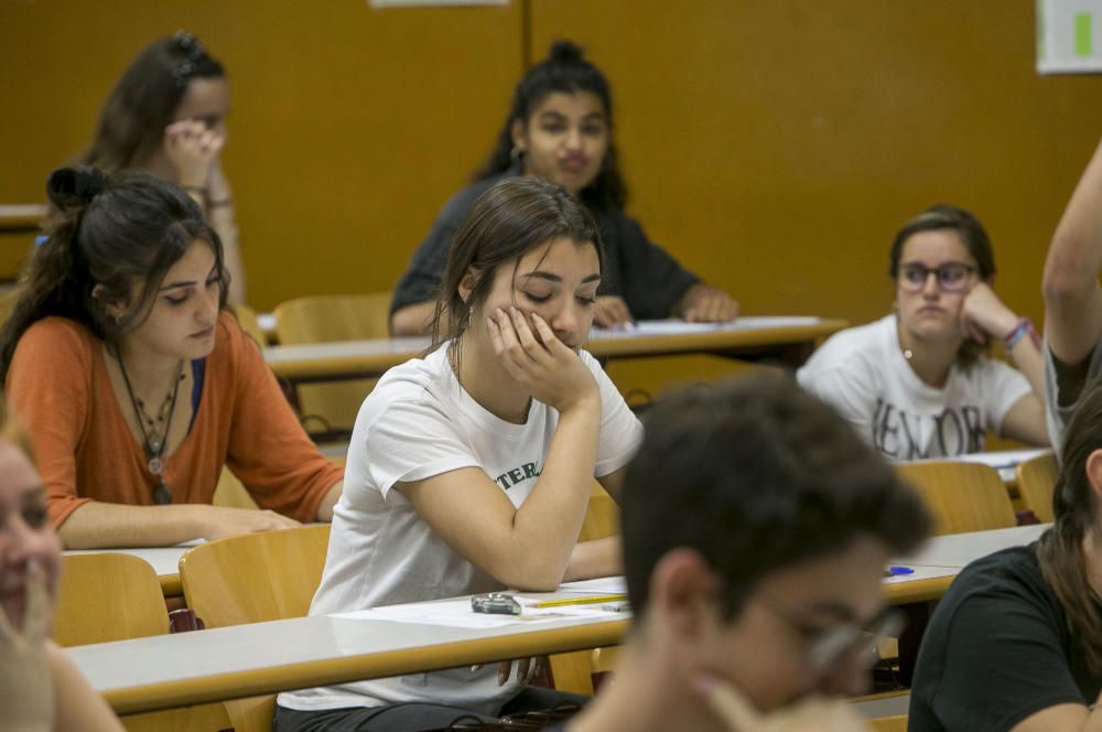 En la Universidad de Alicante se han examinado 3.494 estudiantes.