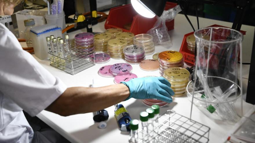 Una investigadora trabaja en un laboratorio.