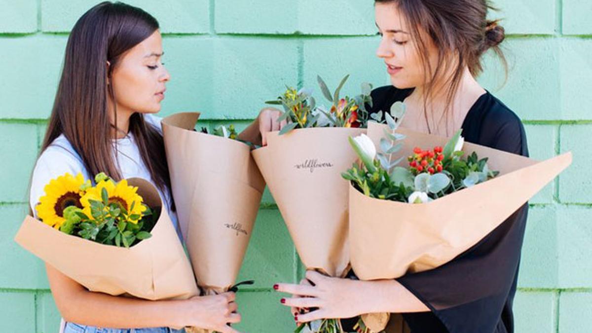 Karin e Irene, Wildflowers