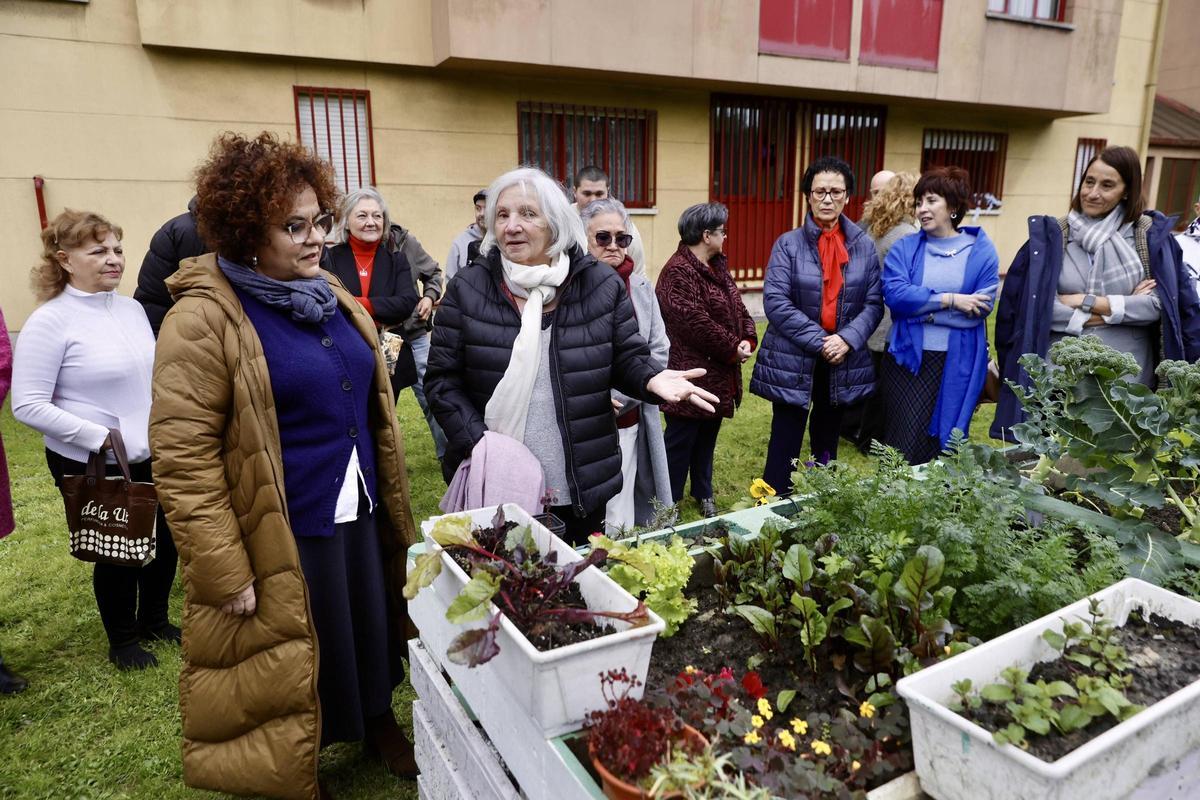 El nuevo huerto urbano de la zona oeste de Gijón, en imágenes