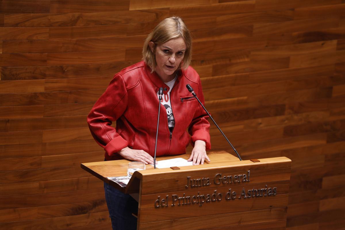 Covadonga Tomé en la Junta.