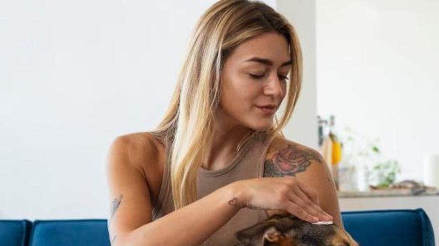 Com revisar la teva mascota a casa: els consells d’una veterinària per detectar problemes a temps