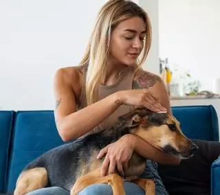 Com revisar la teva mascota a casa: els consells d’una veterinària per detectar problemes a temps